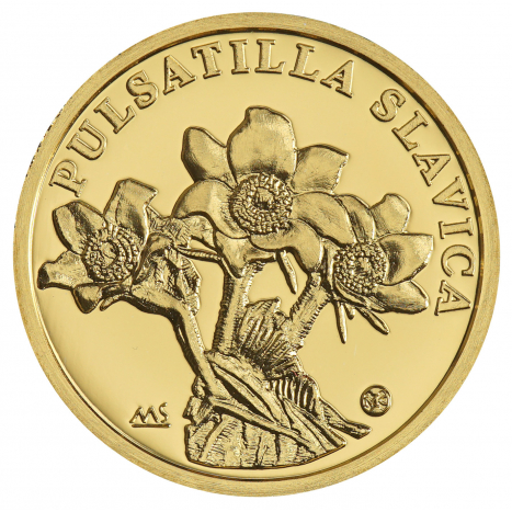 Zlatá minca 10 Dollars Poniklec slovenský averz
